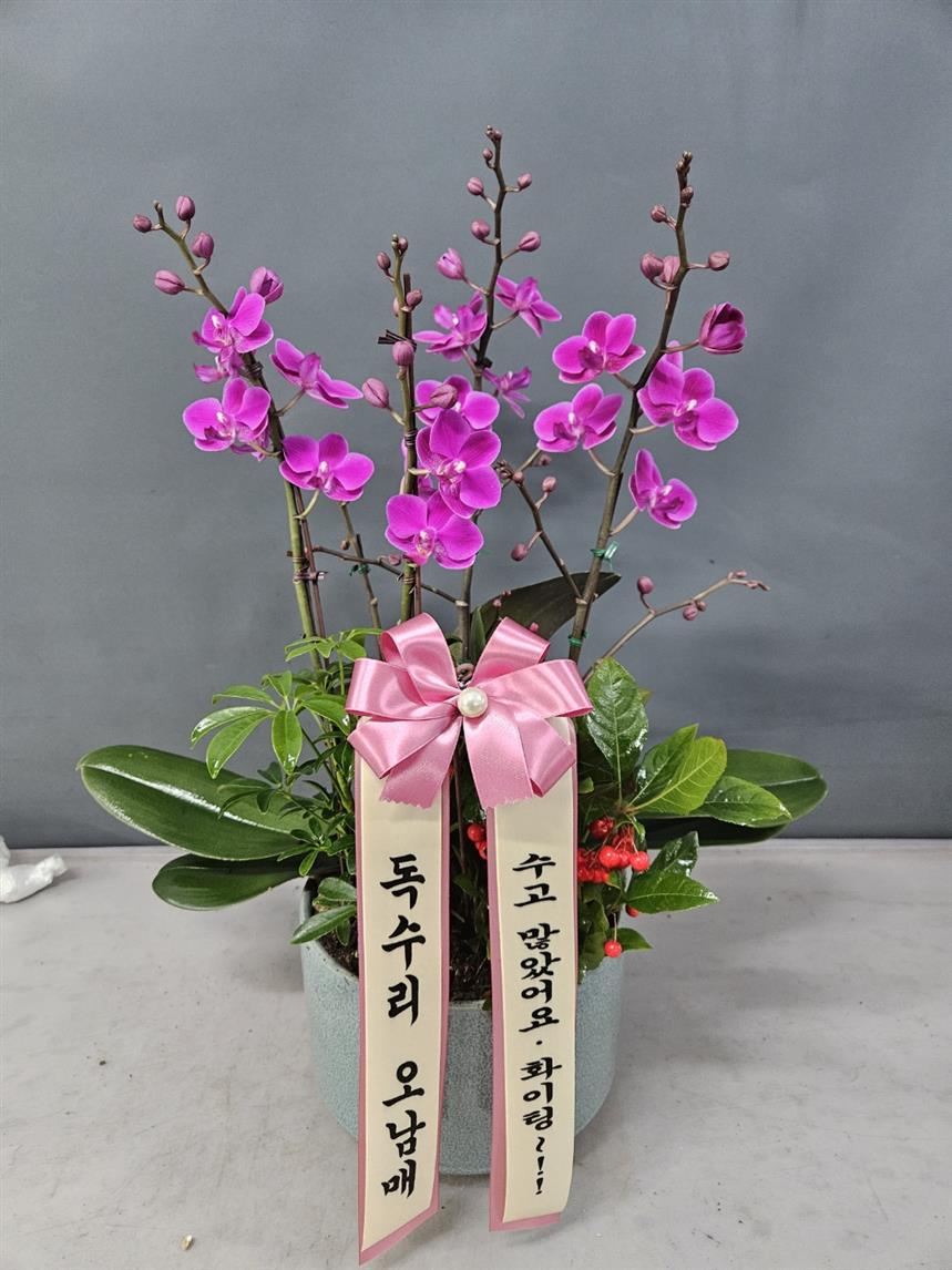 배송사진