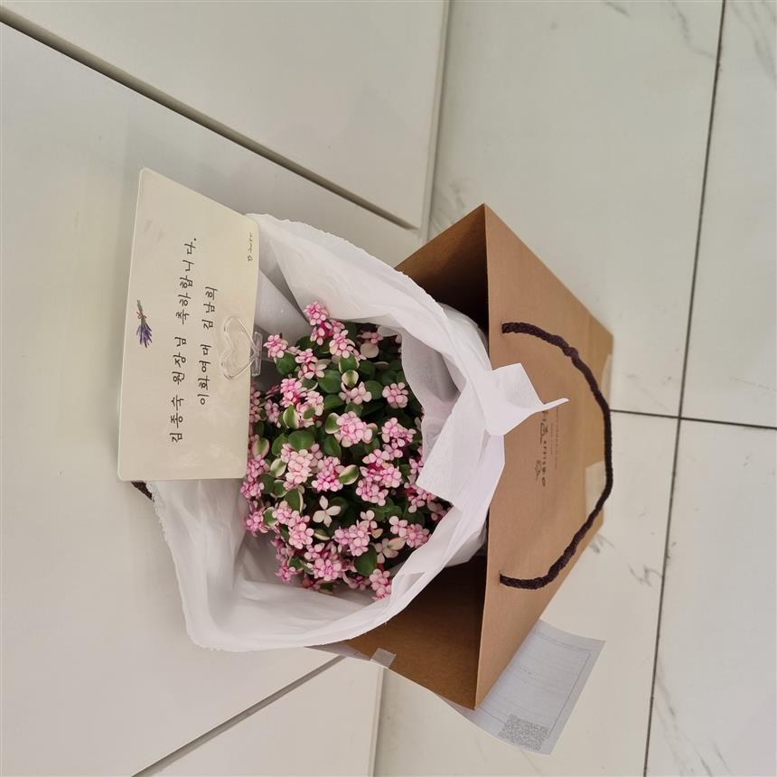 배송사진