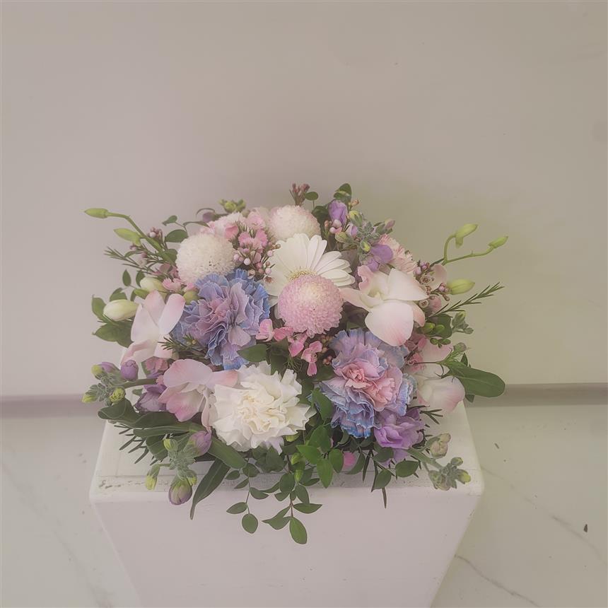 배송사진