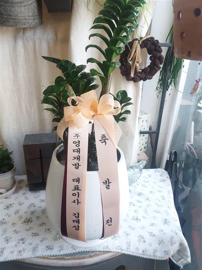 배송사진