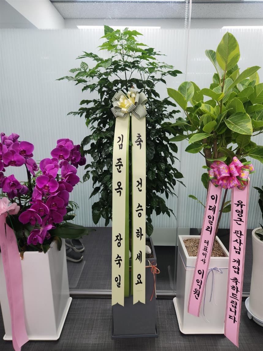 배송사진