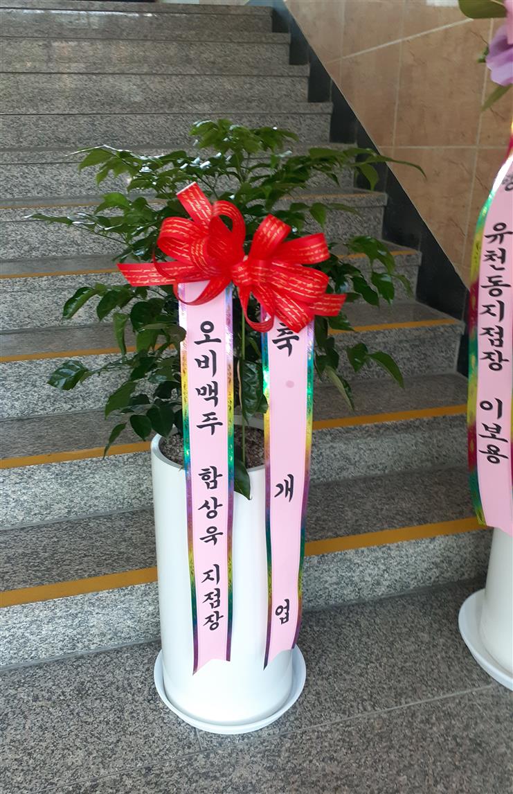 배송사진