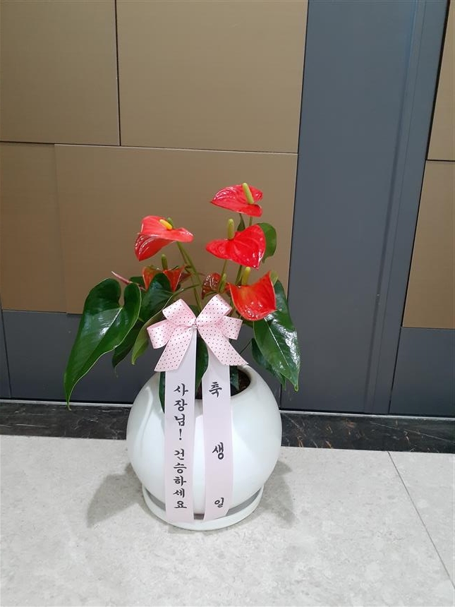 배송사진