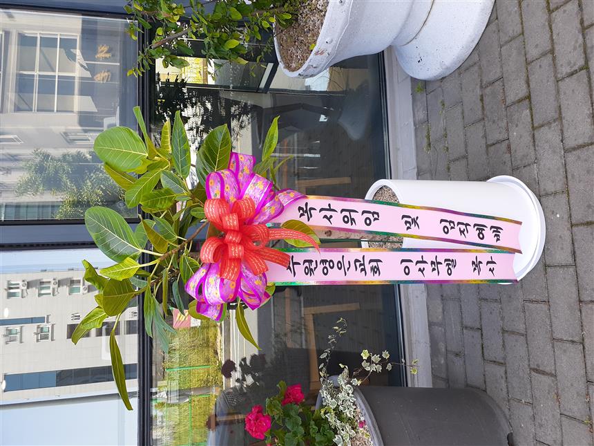 배송사진