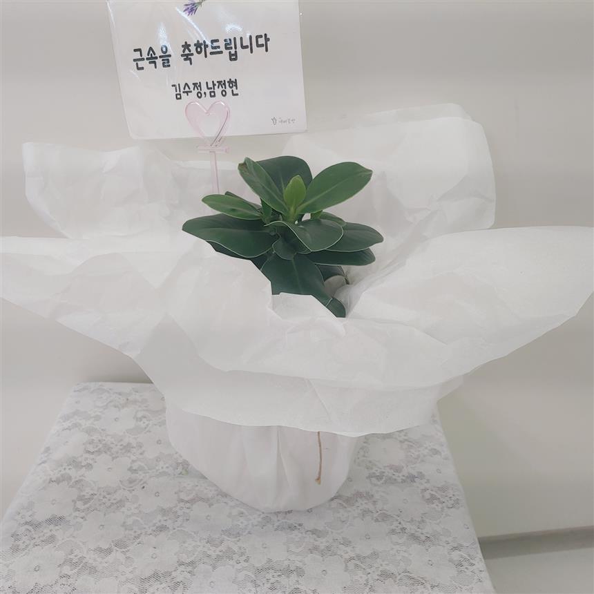 배송사진