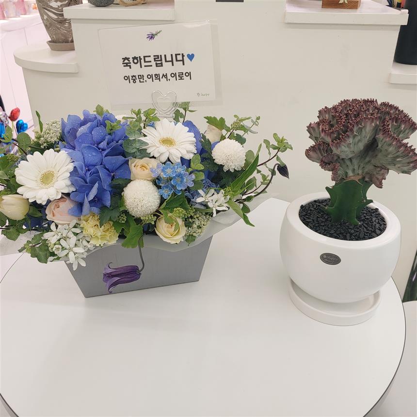 배송사진