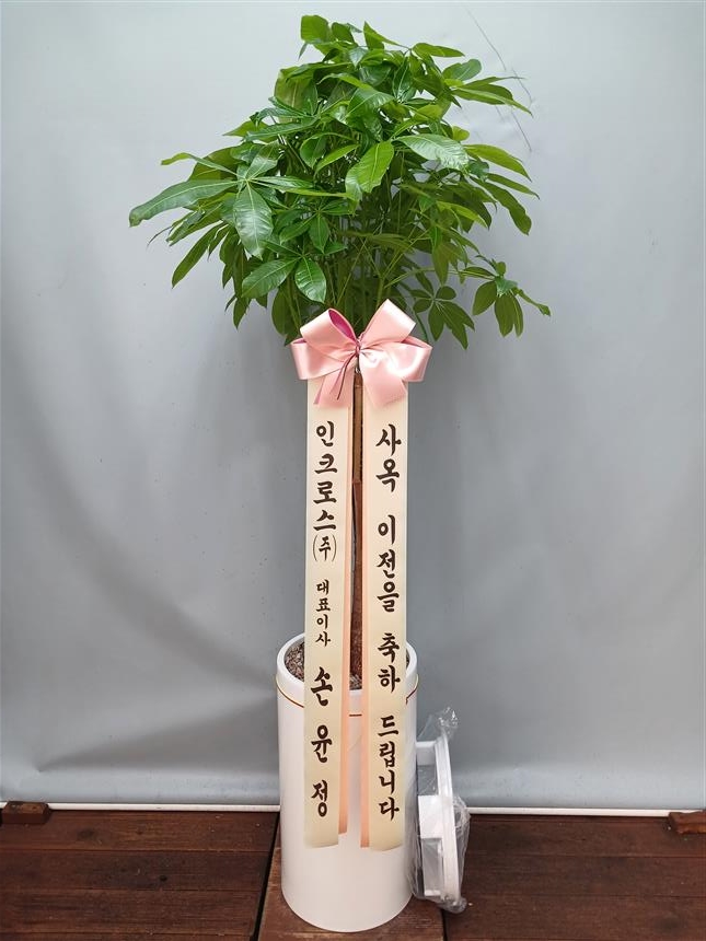 배송사진