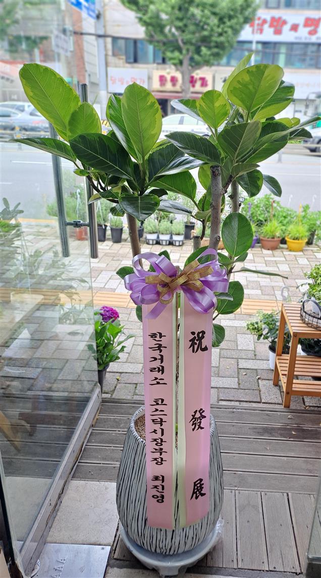 배송사진
