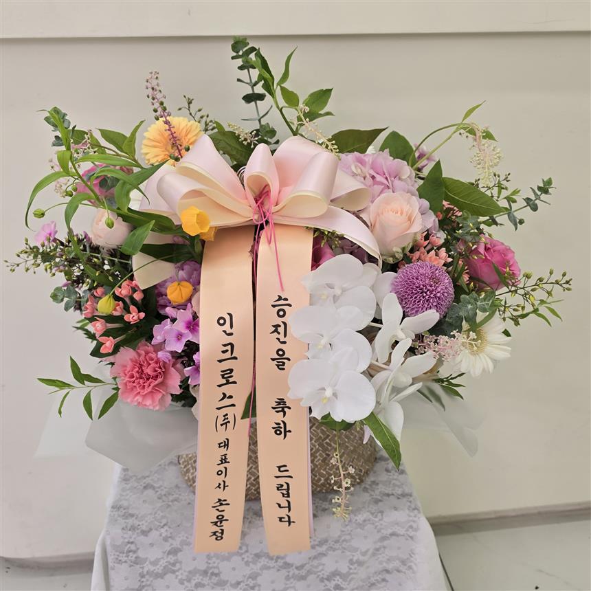배송사진