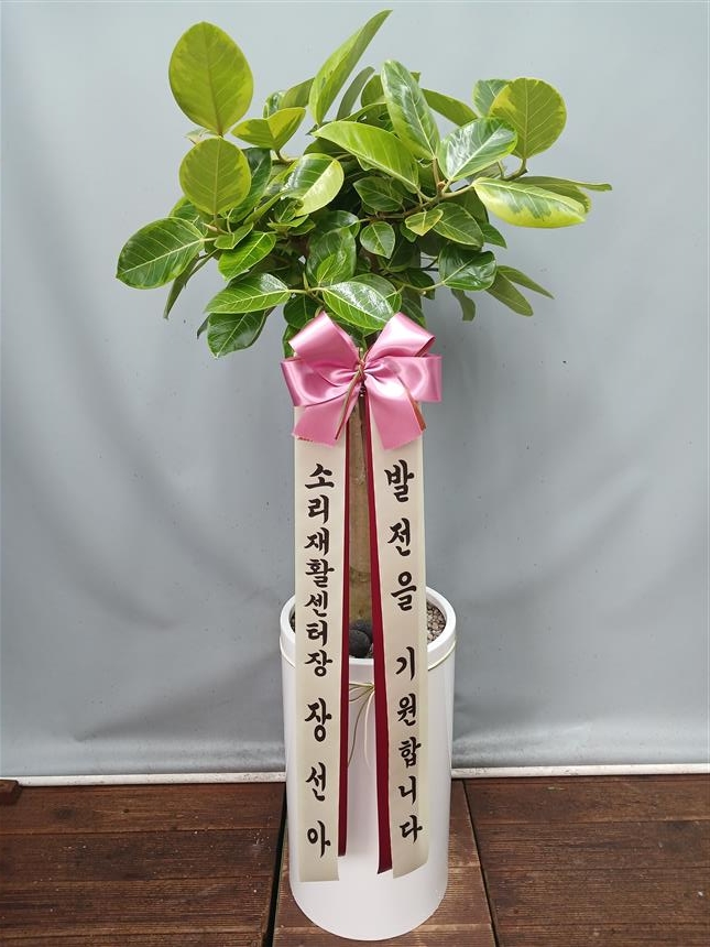 배송사진