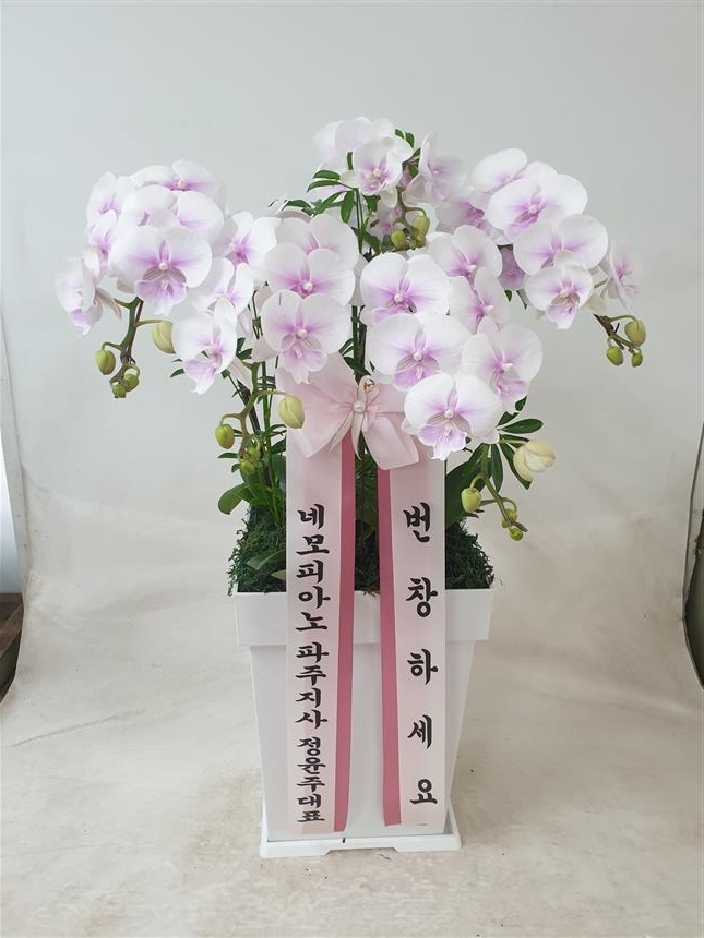 배송사진