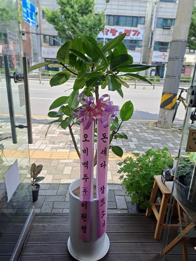 배송사진