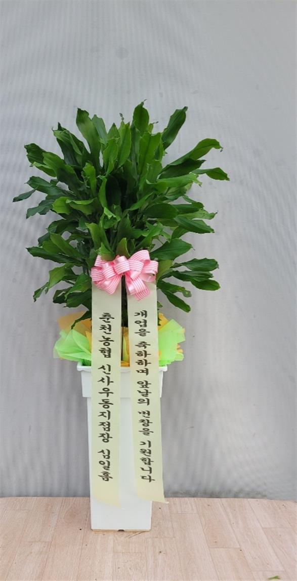 배송사진