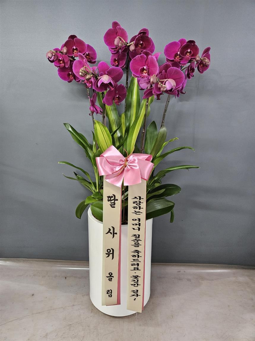 배송사진