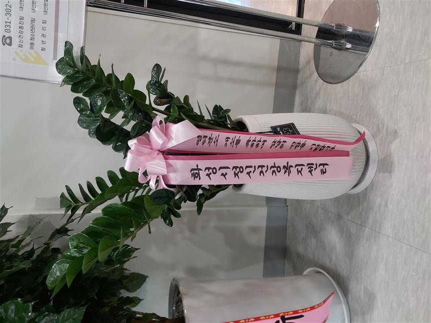 배송사진