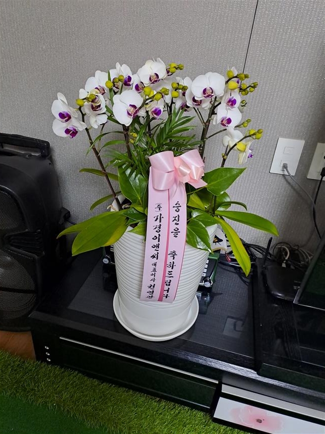 배송사진