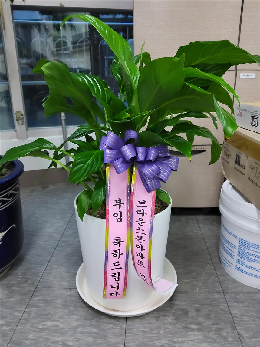 배송사진