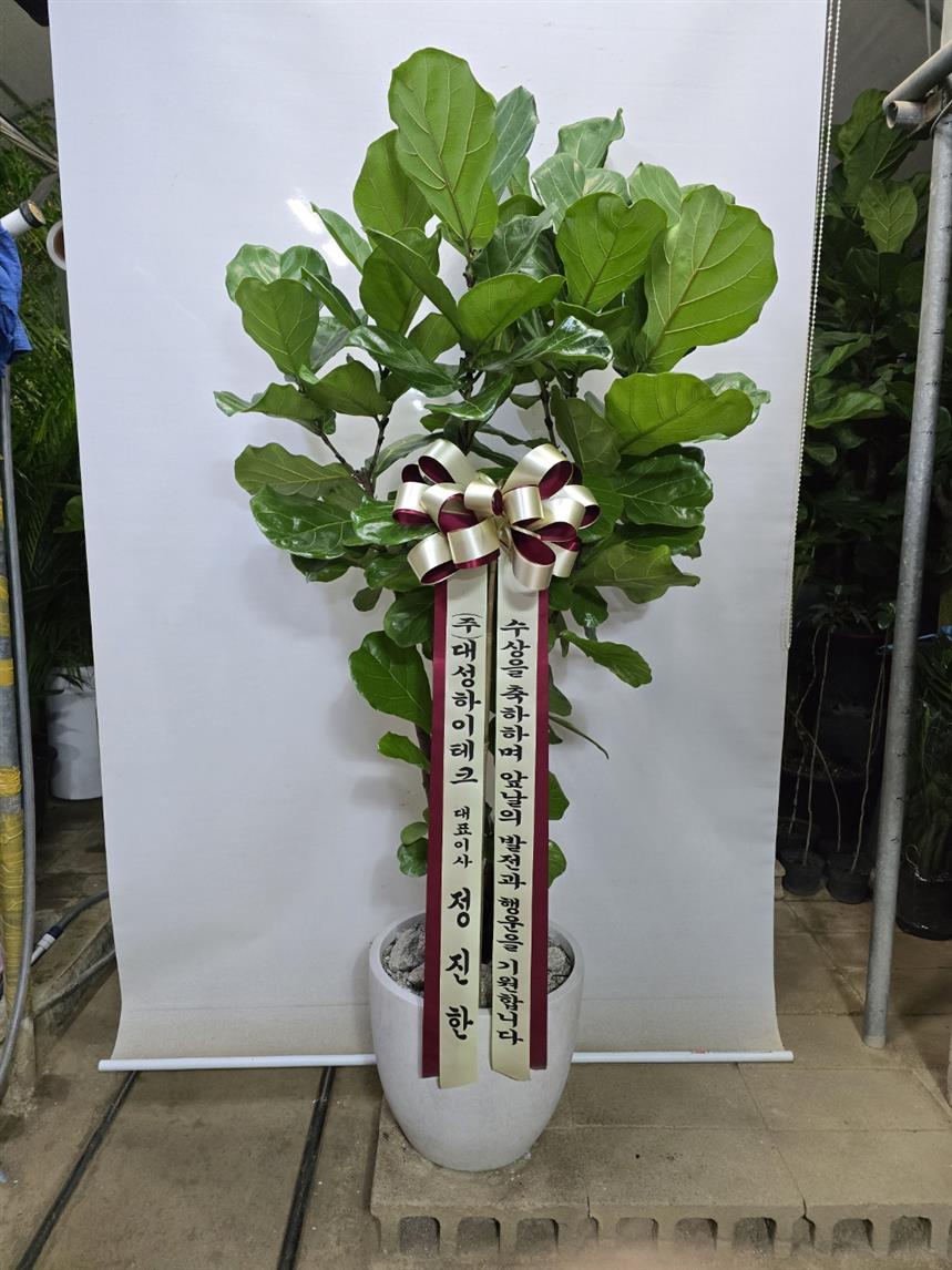 배송사진