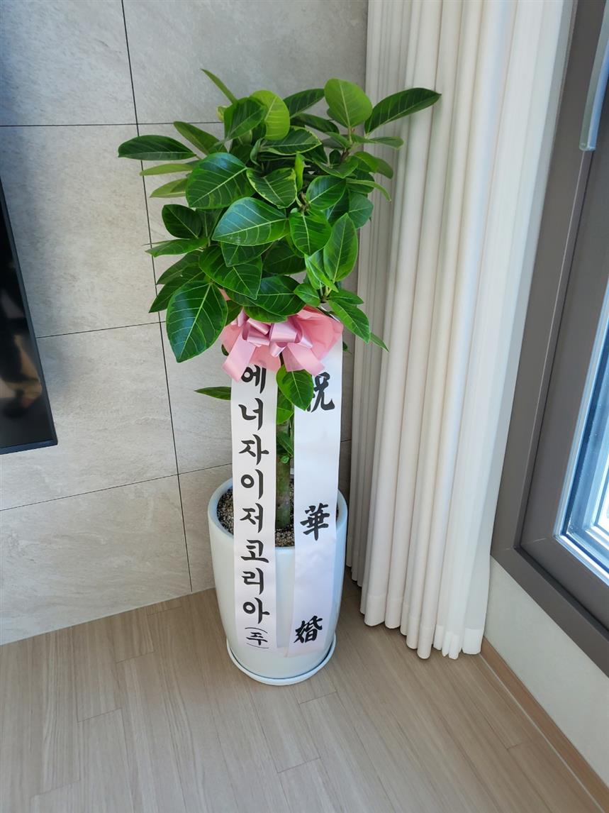 배송사진