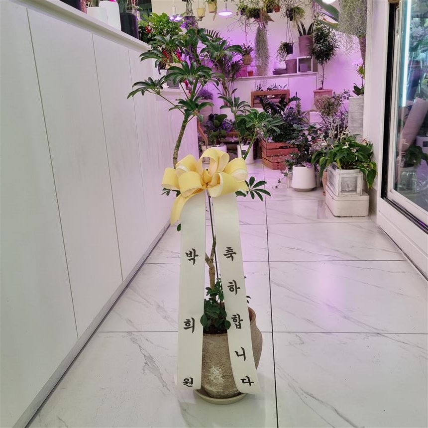 배송사진