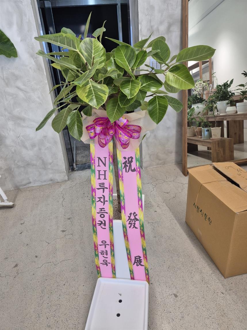 배송사진