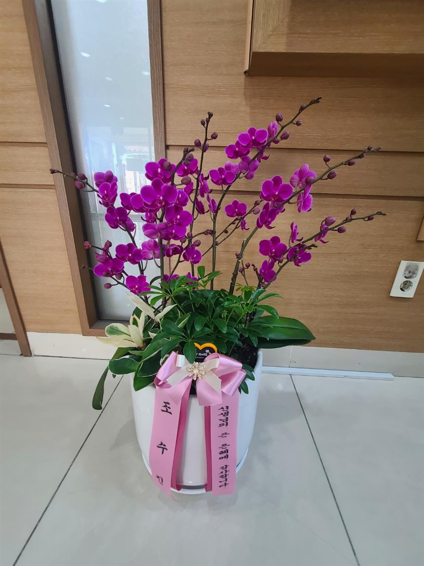 배송사진